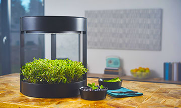 Verdeat: A Game-Changer in Growing Food Indoors