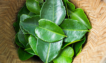 What are Curry Leaves