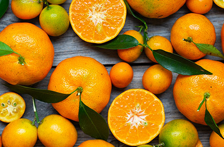 Best Oranges For Juicer