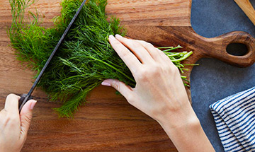 What is Dill and Where It is Used