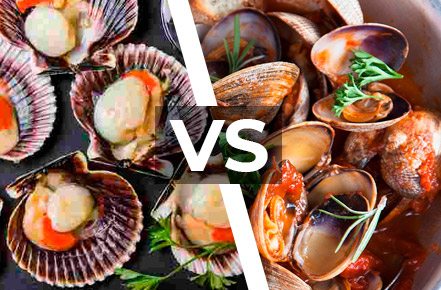 Scallop vs Clam - Everything You Need to Know 🦪