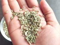 use fennel seeds in cooking